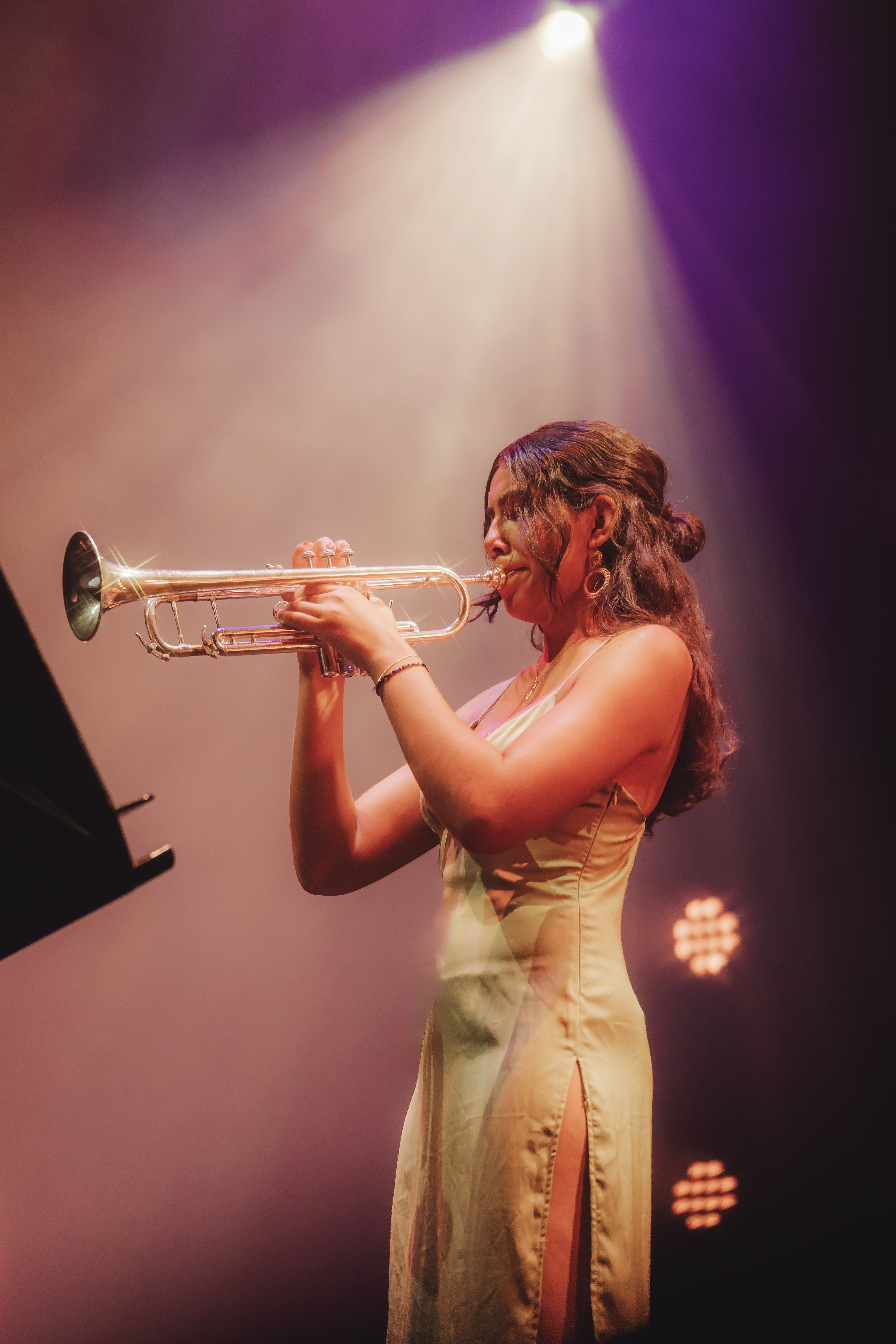 Sophia Rose Quintet